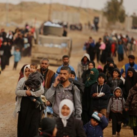 مرور کتاب خواب در باغ گیلاس